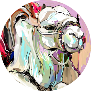 Original Digital Painting Artwork Of White Camel Sticker