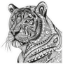 Ornamental Tiger Portrait Sticker