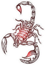 Ornate Exquisite Scorpion Sticker