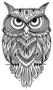 Ornate  Zenart Owl Sticker