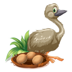 Ostrich Beside The Nest Sticker