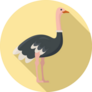 Ostrich Bird Yellow Sticker