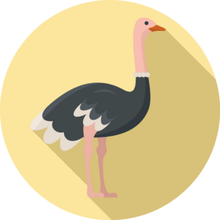 Ostrich Bird Yellow Sticker