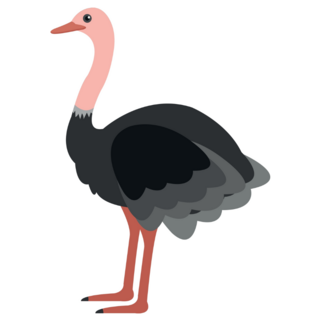 Ostrich Cartoon Standing Sticker