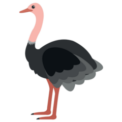 Ostrich Cartoon Standing Sticker