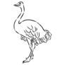 Ostrich Hand Drawn Sticker