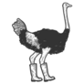 Ostrich In Boots Sticker