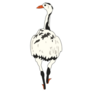 Ostrich In Cow Print Sticker 