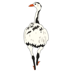 Ostrich In Cow Print Sticker 