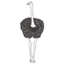 Ostrich On Safari Sticker