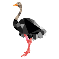 Ostrich Polygon Colored Sticker