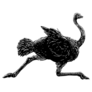 Ostrich Silhouette Running Sticker 