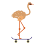 Ostrich Skateboarding Solo Sticker
