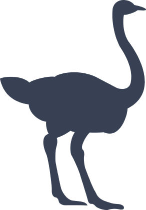 Ostrich Sticker