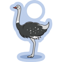 Ostrich Under The Sun Sticker