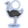 Ostrich Under The Sun Sticker