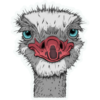 Ostrich With A Smirk Sticker