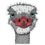 Ostrich With A Smirk Sticker