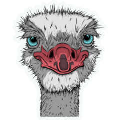 Ostrich With A Smirk Sticker