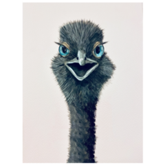 Ostrich With Blue Eyes Sticker