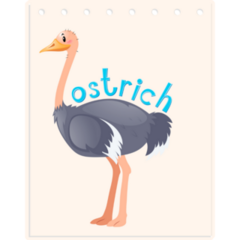 Ostrich Wordcard Sticker