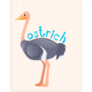 Ostrich Wordcard Sticker