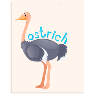 Ostrich Wordcard Sticker