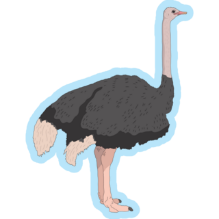 Ostriches Standing Side Sticker 