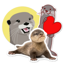 Otter Thumbnail