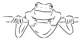 Outline Drawing Of A Frog Sketch Illustration Sticker