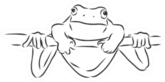 Outline Drawing Of A Frog Sketch Illustration Sticker