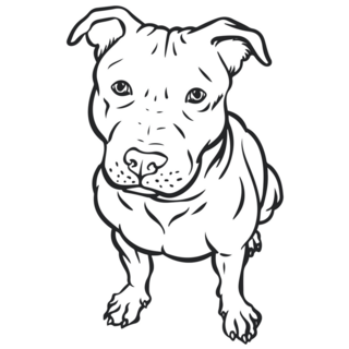 Outline Pit Bull Sticker