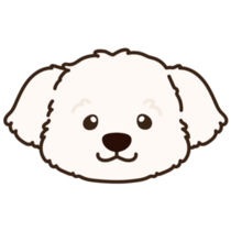 Outlined Maltese Face Sticker