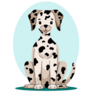 Oval Dalmatian Sticker
