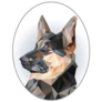 Oval German Shepherd Sticker