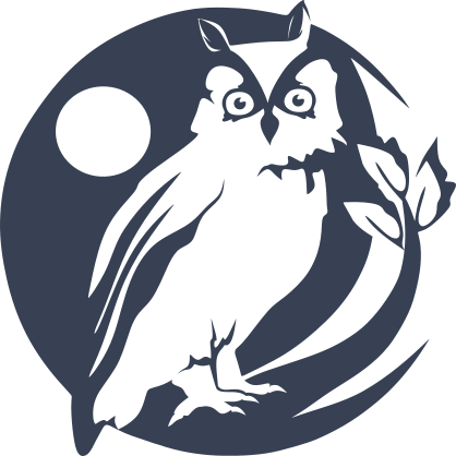 Owl At Night Sticker