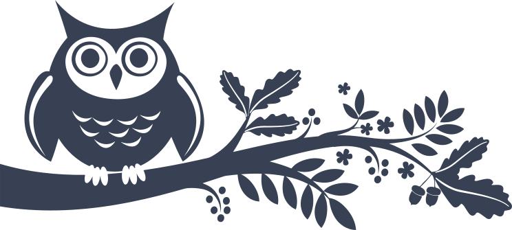 Owl Bird On Branch Sticker
