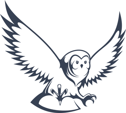 Owl Bird Sticker