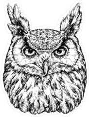 Owl Head Illustration Sticker