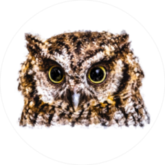 Owl Head Painting Sticker