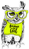 Owl in Bright Shirt and Glasses Sticker