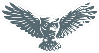 Owl in Shadow Sticker