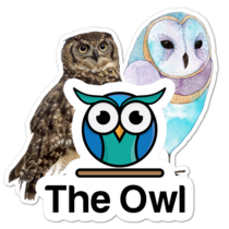 Owl Thumbnail