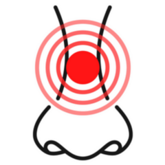 Pain Or Allergy Nose Icon Sticker