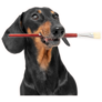 Paintbrush Dachshund Sticker