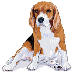 Painted Beagle Sticker