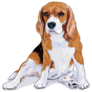 Painted Beagle Sticker