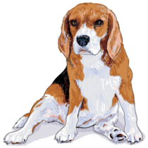 Painted Beagle Sticker