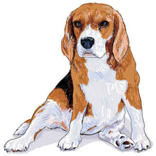 Painted Beagle Sticker