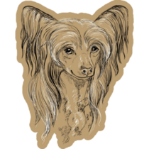 Painted Chinese Crested Sticker